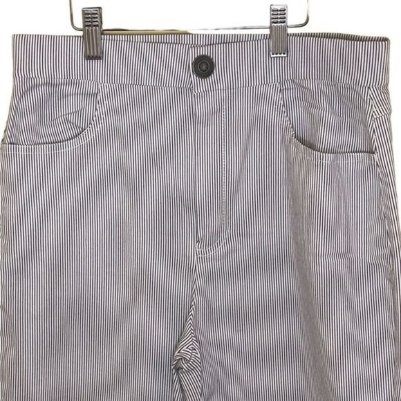 Free People Florence Crop Flare Railroad Stripe Pants Blue White Size Medium - Picture 8 of 14
